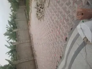 Quality Paving Work