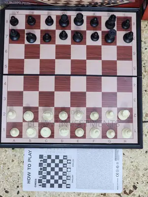 New Foldable Magnetic Brain Chess