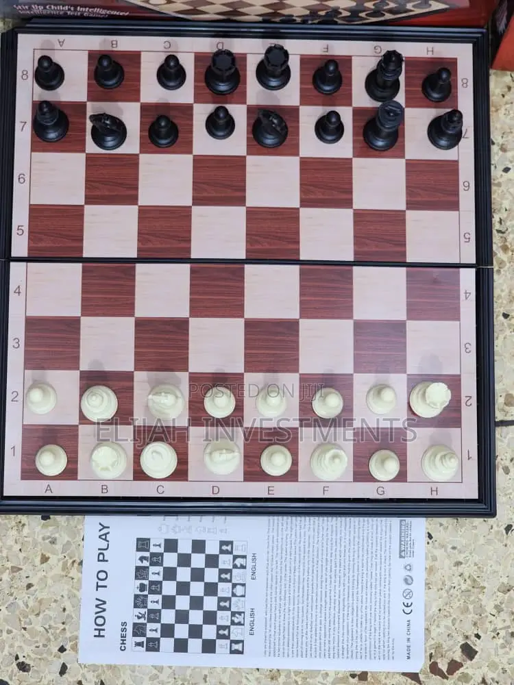 New Foldable Magnetic Brain Chess