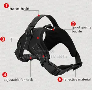 Soft Adjustable Dog Harness