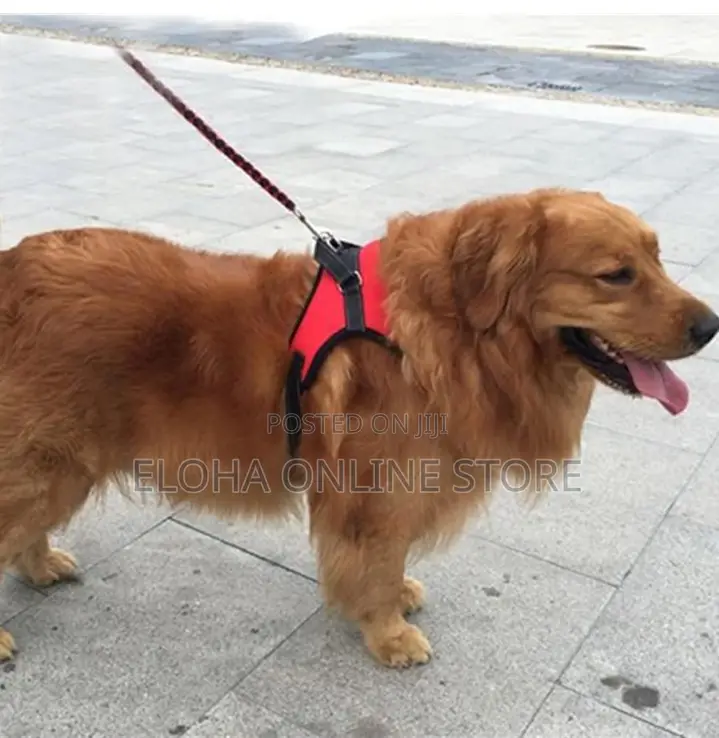 Soft Adjustable Dog Harness