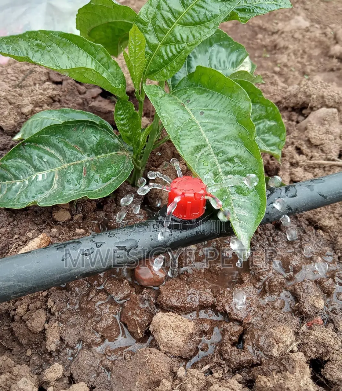 Irrigation Adjustable Emitters