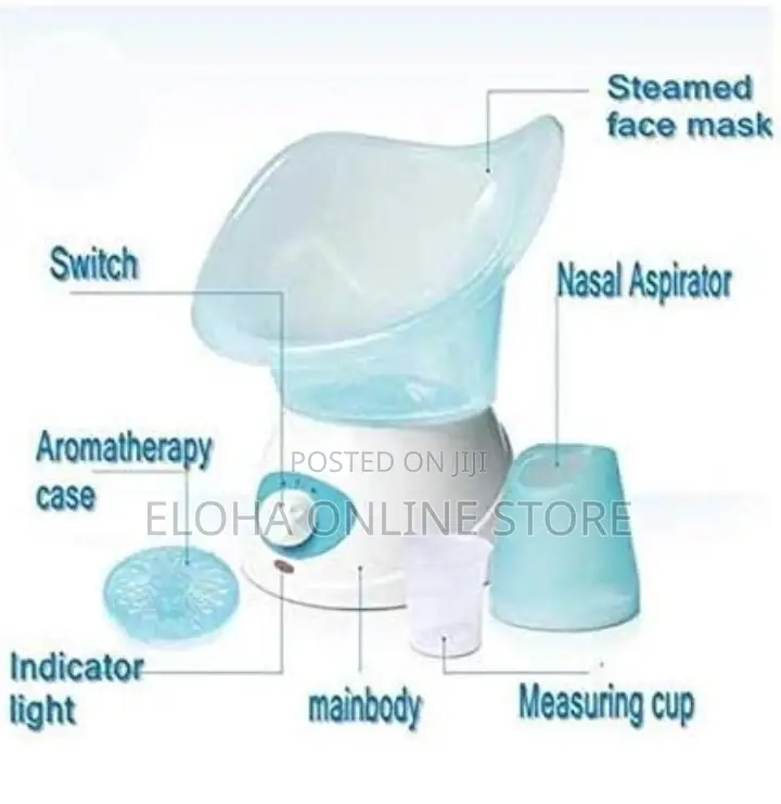 Benice Electric Facial Sauna