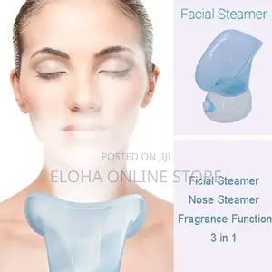 Benice Electric Facial Sauna