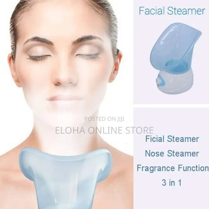 Benice Electric Facial Sauna