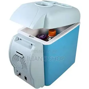 Portable Electric Car Fridge for Warming and Cooling 7.5L