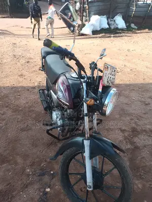 Yamaha Crux 2017 Brown