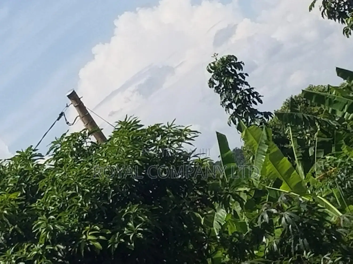 A Plot of Land 50by100 in Mpigi
