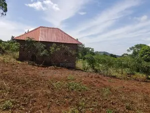 A Plot of Land 50by100 in Mpigi