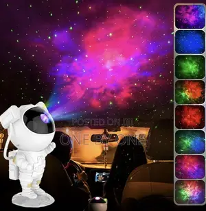 Astronaut Projector LED Fog Night Light With 17 Color Mode