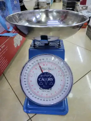 Camry Weighing Scale Multifunctional 20kg