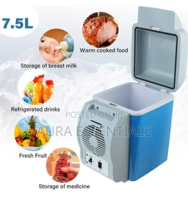 White and Blue Electric Mini Car Refrigerator