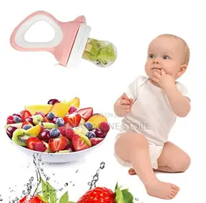 Baby Fruit Feeder Pacifier