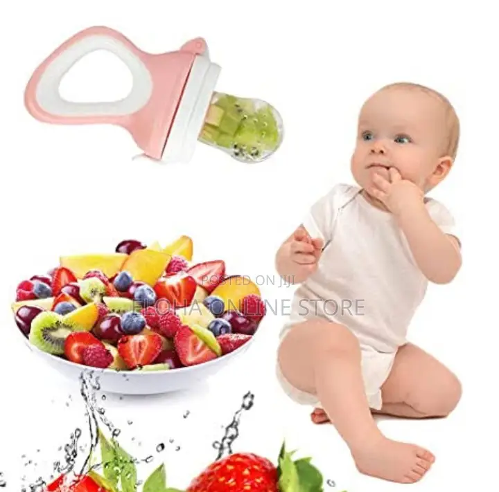 Baby Fruit Feeder Pacifier