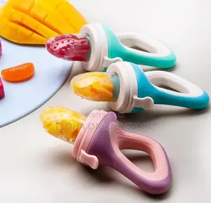Baby Fruit Feeder Pacifier
