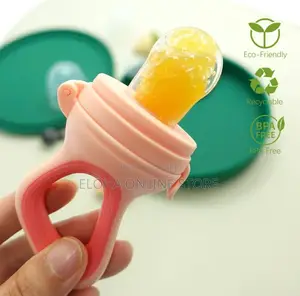Baby Fruit Feeder Pacifier