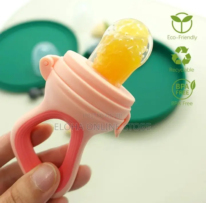 Baby Fruit Feeder Pacifier