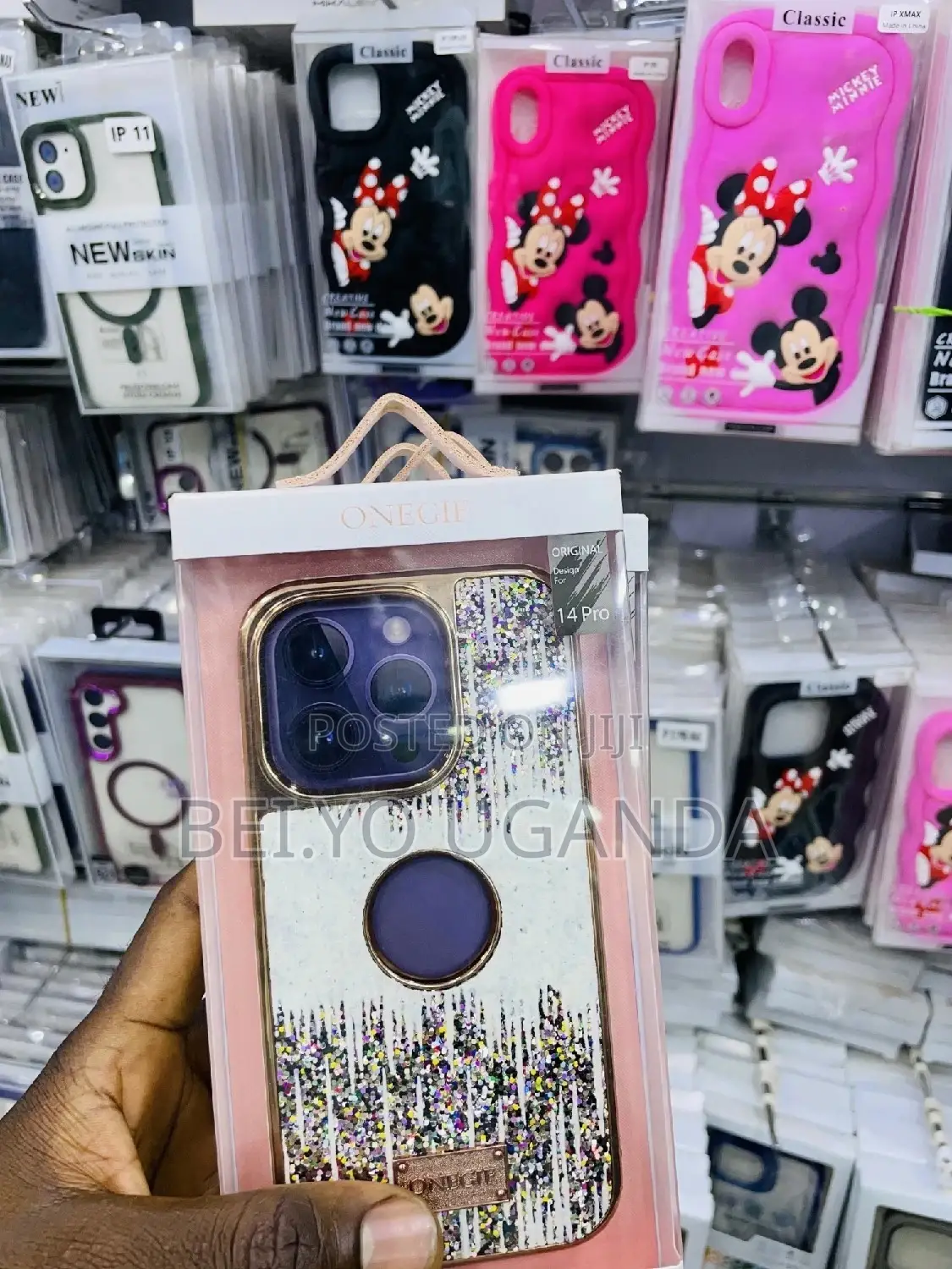 13 Pro Cases