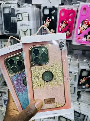 13 Pro Cases