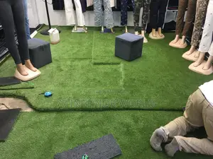 Artificial Turf or Grass