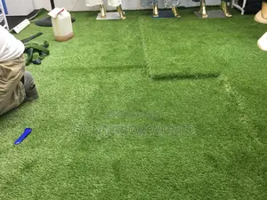Artificial Turf or Grass