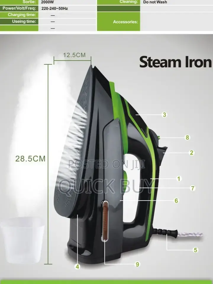 300W Avinas Steam Iron