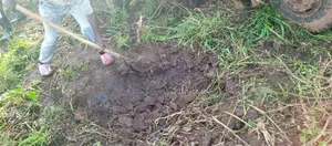 Fertile Black Soil