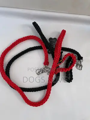 Dog Leashes
