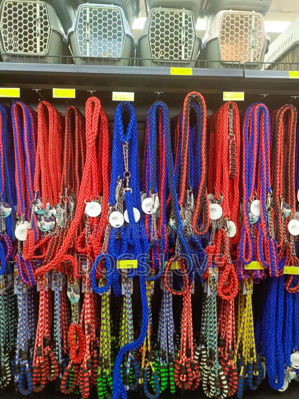 Dog Leashes