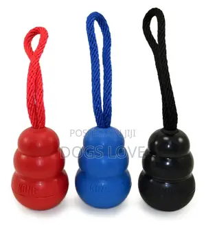 Kongs Play Toys
