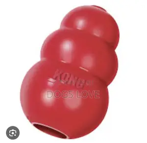 Kongs Play Toys