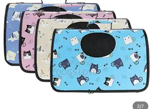 Pet Travel Bags