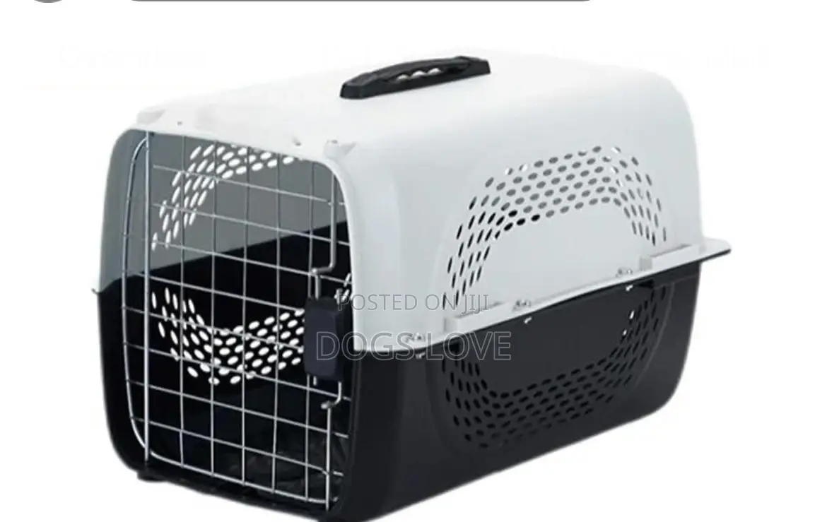 Plastic Dog Cages