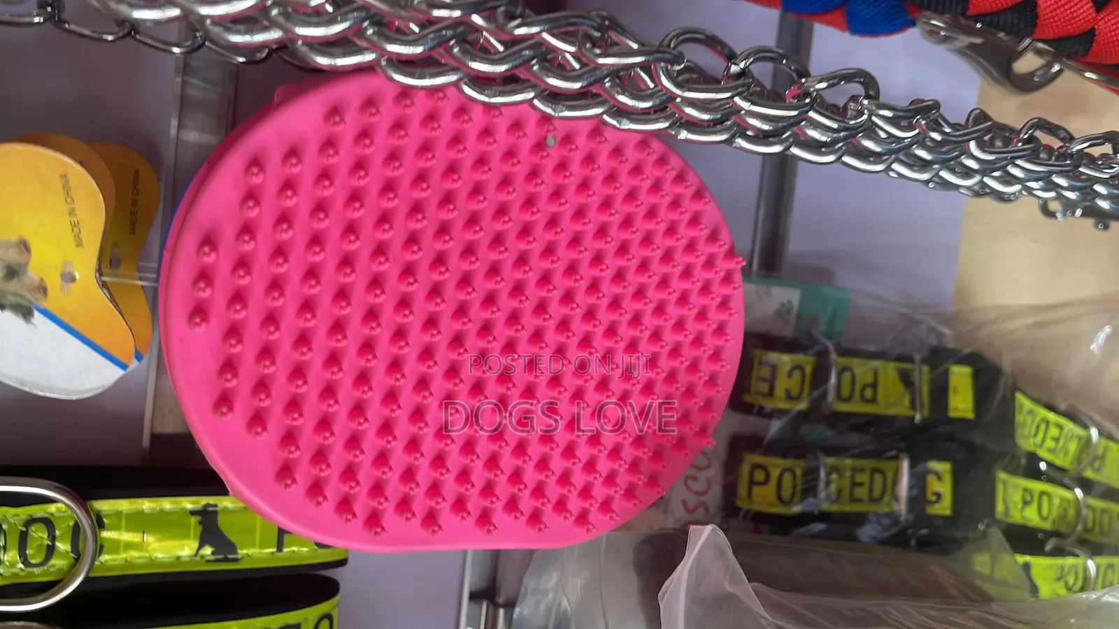 Shower Brush
