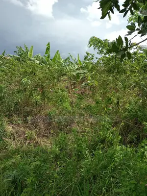 100acres in Kikyusa Luwero All at 1bn