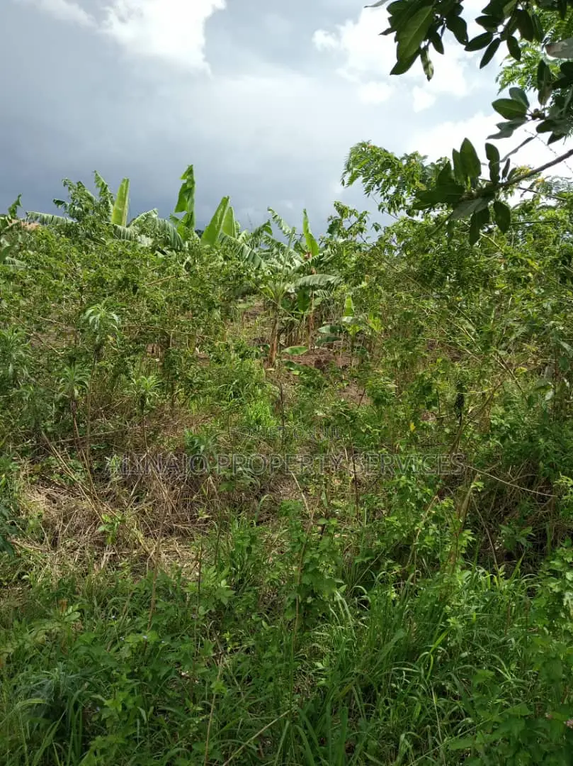 100acres in Kikyusa Luwero All at 1bn