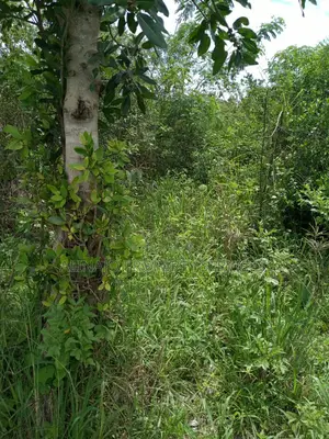 100acres in Kikyusa Luwero All at 1bn