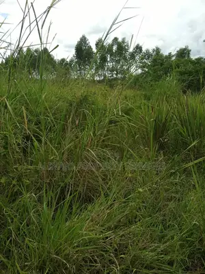 100acres in Kikyusa Luwero All at 1bn