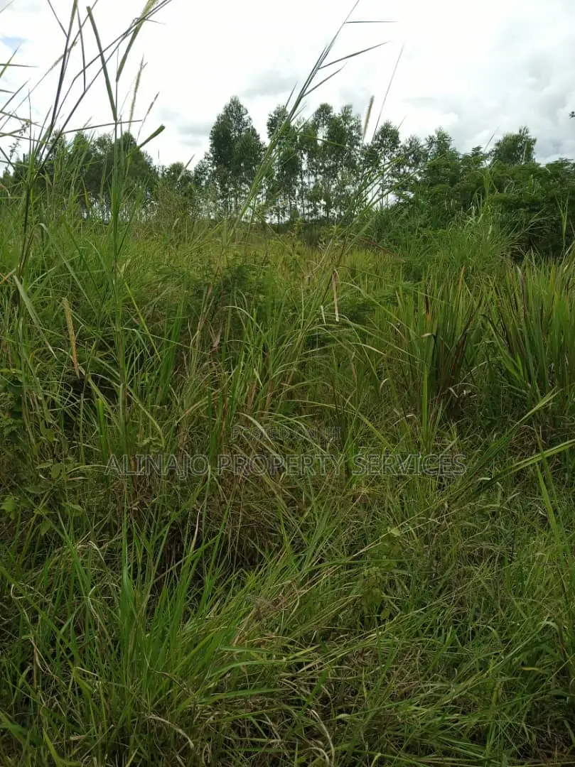 100acres in Kikyusa Luwero All at 1bn