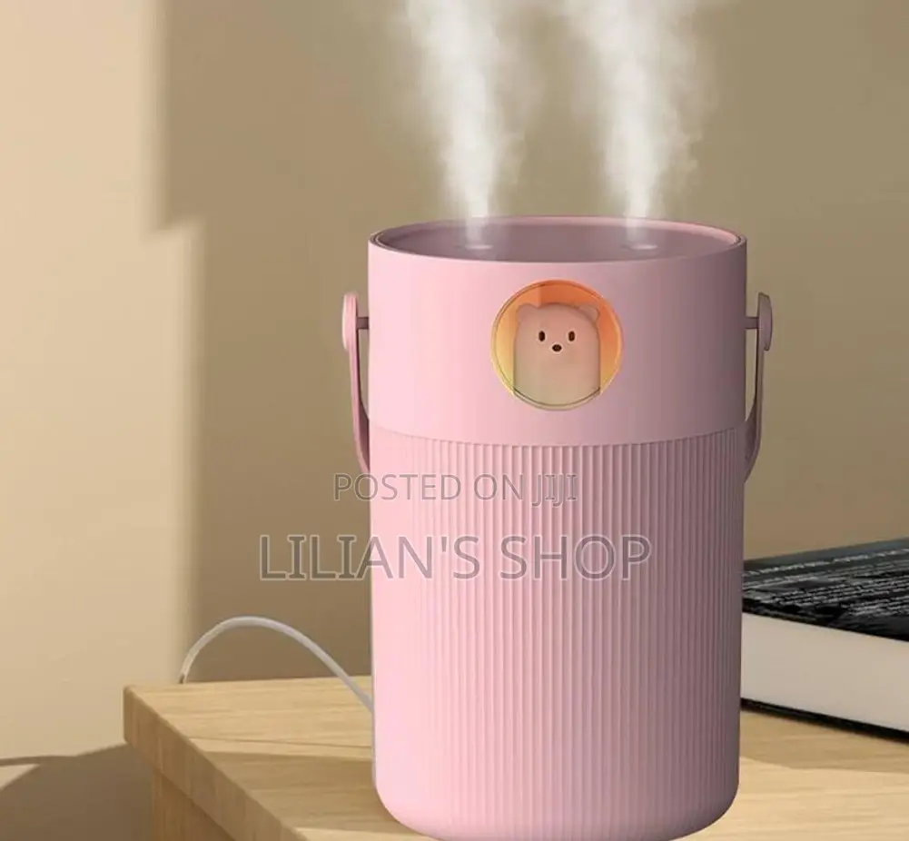 250mls Usb Portable Humidifier