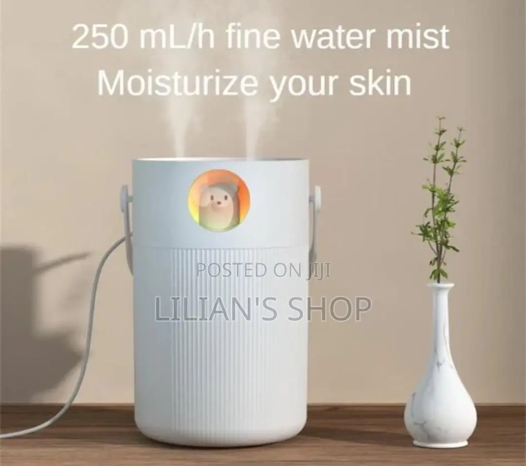 250mls Usb Portable Humidifier