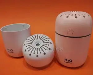 Mini Humidifier Nano Spray Facial Steam
