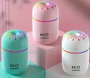 Mini Humidifier Nano Spray Facial Steam