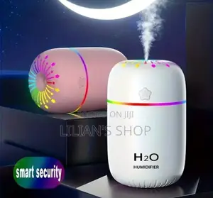 Mini Humidifier Nano Spray Facial Steam