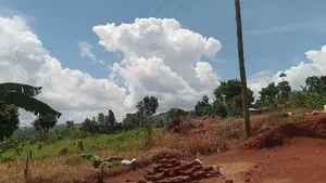 3 Acres of Land at Kibibi for Sale at 25 Millions Per Acre.