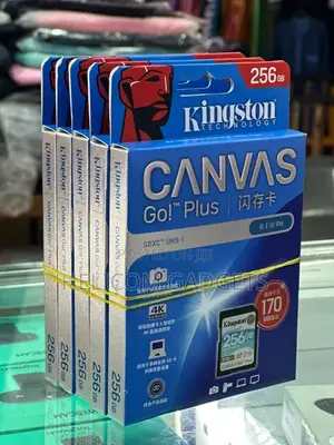 Kingston 256 Gb SD Card
