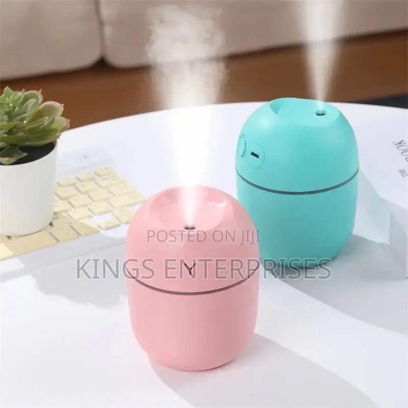 Mini Humidifier