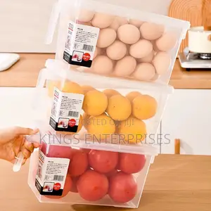 Transparent Fridge Containers