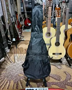 Nylon Portable 39/41inches Single Layer Acoustic Guitar Bags