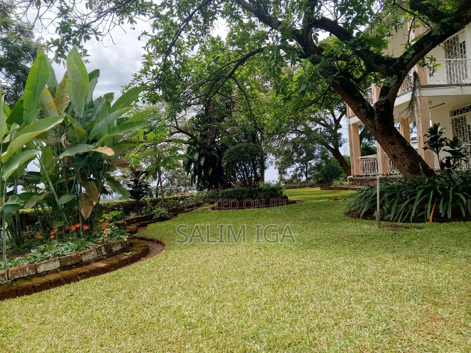 5bdrm Duplex in Kololo Property, Central Division for rent